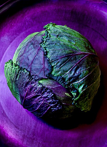 ORGANIC_CABBAGE_JANUARY_KING_ON_PURPLE_BACKGROUND_VEGETABLE__HEALTHY_EATING__HEALTHY_LIVING