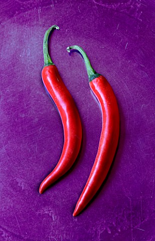 CHILLI_PEPPERS_ON_PURPLE_PLATE_RED__ORGANIC__VEGETABLE__HARVESTED__PICKED