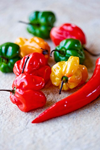 CAPSICUMS__CHILLI_SCOTCH_BONNET__SPICE__SPICES__HOT__EDIBLE__PICKED__CHILLIES__YELLOW__RED__GREEN