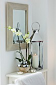 DINING ROOM AT CHRISTMAS - SIDEBOARD WITH WHITE ORCHID IN BLACK AND WHITE GLASS CONTAINER  MIRROR  CANDLES AND STORM LANTERN. SARAH EASTEL LOCATIONS/ DI ABLEWHITE