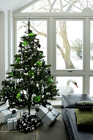 CHRISTMAS__CHRISTMAS_TREE_BY_WINDOW_WITH_WRAPPED_PRESENTS_UNDERNEATH_AND_SWAN_OUTSIDE_WINDOW_SARAH_E