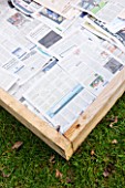DESIGNER CLARE MATTHEWS: POTAGER PROJECT - DEEP BED MULCHING - NEWSPAPER LAID OUT ON GRASS