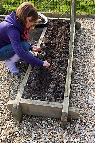 DESIGNER_CLARE_MATTHEWS_POTAGER_PROJECT__CLARE_PLANTING_SEEDS_OF_BLACK_TUSCAN_KALE_IN_CHEATS_FINE_TI