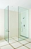 DESIGNER: JOHN MINSHAW - SHOWER ROOM IN BATHROOM