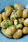 DESIGNER: CLARE MATTHEWS - CLOSE UP OF COOKED POTATOES WITH BUTTER AND PARSLEY  IN A BLUE BOWL. EDIBLE  VEGETABLE  FOOD