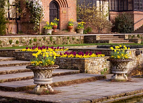 RHS_GARDEN_WISLEY_SPRING__NARCISSUS_DAFFODILS_BLOOMING_BESIDE_THE_RECTANGULAR_POOL