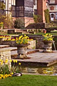 RHS GARDEN WISLEY. SPRING - NARCISSUS (DAFFODILS) BLOOMING IN CONTAINERS ON STEPS BESIDE THE RECTANGULAR POOL