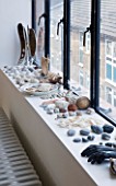 ROSE GRAY AND SCULPTOR DAVID MACILWAINE: WINDOWSILL  IN THE LOUNGE WITH SHELLS