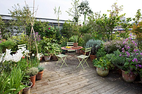 ROSE_GRAY_AND_SCULPTOR_DAVID_MACILWAINE_VIEW_ONTO_THE_DECKED_ROOF_TERRACE_ROOF_GARDEN_WITH_PLANTS_IN