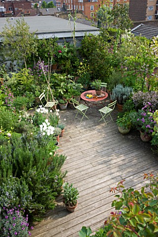 ROSE_GRAY_AND_SCULPTOR_DAVID_MACILWAINE_VIEW_DOWN_ONTO_THE_DECKED_ROOF_TERRACE_ROOF_GARDEN_WITH_PLAN
