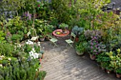 ROSE GRAY AND SCULPTOR DAVID MACILWAINE: VIEW DOWN ONTO THE DECKED ROOF TERRACE/ ROOF GARDEN WITH PLANTS IN CONTAINERS - ROSEMARY  TULIP WHITE TRIUMPHATOR : TABLE AND GREEN CHAIRS