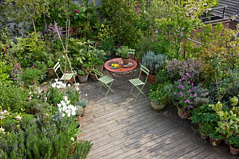 ROSE_GRAY_AND_SCULPTOR_DAVID_MACILWAINE_VIEW_DOWN_ONTO_THE_DECKED_ROOF_TERRACE_ROOF_GARDEN_WITH_PLAN