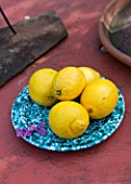 ROSE GRAY AND SCULPTOR DAVID MACILWAINE: THE ROOF TERRACE/ ROOF GARDEN - METAL TABLE AND BOWL WITH LEMONS