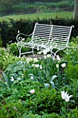 ULTING WICK  ESSEX - THE WHITE GARDEN WITH WHITE BENCH AND TUIP SPRING GREEN AND DICENTRA ALBA