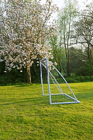 ULTING_WICK__ESSEX___LAWN_WITH_GOAL_AND_CHERRY_TREE_IN_BLOSSOM__SPRING