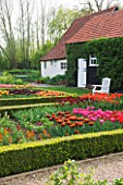 ULTING WICK  ESSEX  SPRING: THE CUTTING GARDEN WITH TULIPS IN BOX EDGED BEDS  COTTAGE BEHIND WITH WHITE BENCH