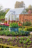 ULTING WICK  ESSEX  SPRING: THE CUTTING GARDEN WITH BOX EDGED BEDS  A COPPER URN PLANTED WITH TULIPA QUEEN OF NIGHT  GREENHOUSE BEHIND