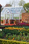 ULTING WICK  ESSEX  SPRING: THE CUTTING GARDEN WITH BOX EDGED BEDS PLANTED WITH TULIPS  GREENHOUSE BEHIND