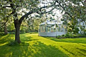 ULTING WICK  ESSEX  SPRING: TREE WITH WHITE BLOSSOM ON LAWN   WHITE CONSERVATORY BESIDE THE HOUSE