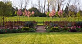 ULTING WICK  ESSEX  SPRING: BORDER BESIDE A LAWN WITH PINK TULIPS AND BOX  PINK BLOSSOM BEHIND