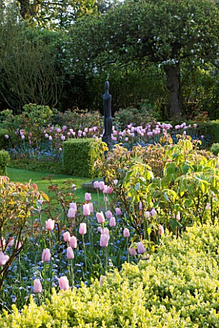 PASHLEY_MANOR_GARDEN__EAST_SUSSEX__SPRING__THE_BOX_GARDEN_PLANTED_WITH_THE_PINK_FLOWERS_OF_TULIP_PIN