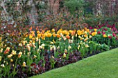 PASHLEY MANOR GARDEN  EAST SUSSEX  SPRING : EARLY MORNING LIGHT ON A LONG BORDER FILLED WITH TULIP MONA LISA   ROSES AND HEUCHERA