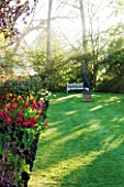 PASHLEY MANOR GARDEN  EAST SUSSEX  SPRING : EARLY MORNING LIGHT ON A LONG BORDER WITH TULIP PAUL SCHEERER  HEUCHERA AND SCULPTURE