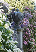 PASHLEY MANOR GARDEN  EAST SUSSEX  SPRING : LEAD URN ON PEDETAL SURROUNDED BY WISTERIA AND CLEMATIS MONTANA RUBENS