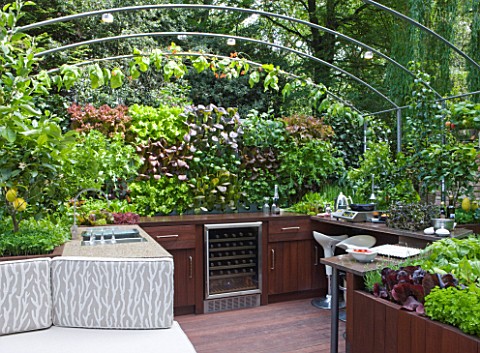 CHELSEA_FLOWER_SHOW_2009__FRESHLY_PREPPED_GARDEN_BY_ARALIA_OUTDOOR_KITCHENENTERTAINING_AREA_WITH_EDI