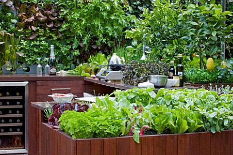 CHELSEA_FLOWER_SHOW_2009__FRESHLY_PREPPED_GARDEN_BY_ARALIA_OUTDOOR_KITCHEN_WITH_EDIBLE_LIVING_WALL_P