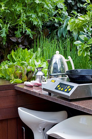 CHELSEA_FLOWER_SHOW_2009_FRESHLY_PREPPED_GARDEN_BY_ARALIA_OUTDOOR_KITCHEN_WITH_FOOD_PREPARATION_AREA