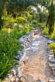 PRIVATE VILLA  CORFU  GREECE. DESIGN BY ALITHEA JOHNS - GRAVEL AND ROCK PATH WITH IRISES IN THE WOODLAND