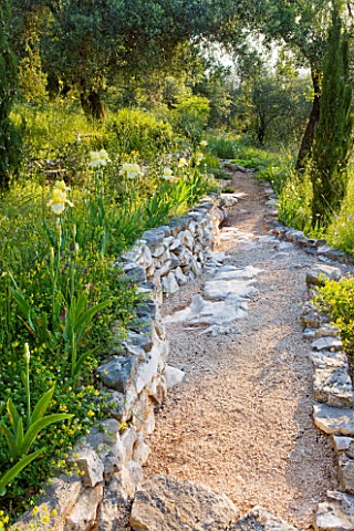 PRIVATE_VILLA__CORFU__GREECE_DESIGN_BY_ALITHEA_JOHNS__GRAVEL_AND_ROCK_PATH_WITH_IRISES_IN_THE_WOODLA