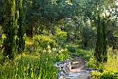 PRIVATE VILLA  CORFU  GREECE. DESIGN BY ALITHEA JOHNS - A PATH PASSES BESIDE  IRISES IN THE WOODLAND