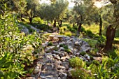 PRIVATE VILLA  CORFU  GREECE. DESIGN BY ALITHEA JOHNS - STONE AND GRAVEL PATH THROUGH WOODLAND WITH STONE BENCH/SEAT