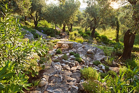 PRIVATE_VILLA__CORFU__GREECE_DESIGN_BY_ALITHEA_JOHNS__STONE_AND_GRAVEL_PATH_THROUGH_WOODLAND_WITH_ST