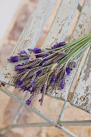 PRIVATE_VILLA__CORFU__GREECE_DESIGN_BY_ALITHEA_JOHNS__HANDTIED_LAVENDER_ARRANGEMENT_ON_OLD_CHAIR