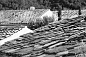 THE ROU ESTATE  CORFU: BLACK AND WHITE IMAGE OF SLATE AND TILED ROOFS
