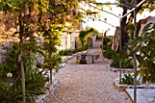 THE ROU ESTATE  CORFU: DAWN VIEW OF THE MAIN PATHWAY THROUGH THE VILLAGE WITH PERGOLA COVERED IN WISTERIA AND WELL