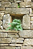 THE ROU ESTATE  CORFU: STONE WALL WITH ALCOVE AND FERN
