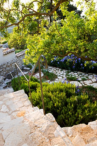 THE_ROU_ESTATE__CORFU_TERRACED_STONE_STEPS_WITH_DECORATIVE_METAL_RAILING_WITH_ROSEMARY_AND_IRISES