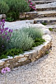 THE ROU ESTATE  CORFU: STONE STEPS AND RAISED BORDER AND GRAVEL PATH WITH CLIPPED SANTOLINA  PROSTRATE ROSEMARY AND HESPERIS MATRONALIS BOWLES MAUVE
