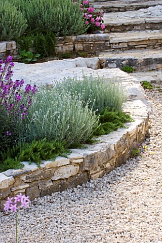 THE_ROU_ESTATE__CORFU_STONE_STEPS_AND_RAISED_BORDER_AND_GRAVEL_PATH_WITH_CLIPPED_SANTOLINA__PROSTRAT