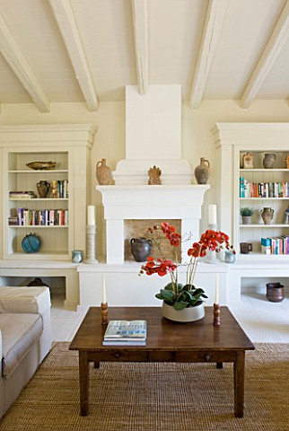 THE_ROU_ESTATE__CORFU_SITTING_ROOMLIVING_AREA_WITH_RAISED_FIREPLACE_AND_BOOKSHELVES