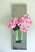 PAULA PRYKES HOUSE  SUFFOLK: WALL MOUNTED VASE WITH PINK HYDRANGEAS