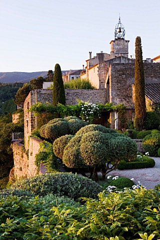 LA_CARMEJANE_FRANCE_LUBERON_PROVENCE_CLIPPED_TOPIARY_OLIVE_TREES_ON_TERRACE_CYPRESS_TREES_FRENCH_COU
