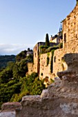 LA CARMEJANE, FRANCE: LUBERON, PROVENCE, CLIPPED, TOPIARY, OLIVE TREES ON TERRACE, CYPRESS, TREES, FRENCH, COUNTRY, GARDEN