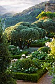LA CARMEJANE, FRANCE: LUBERON, PROVENCE, CLIPPED, TOPIARY, OLIVE TREES ON TERRACE, CYPRESS, TREES, MIST, BOX, PARTERRE, WHITE, ROSES, FRENCH, COUNTRY, GARDEN