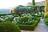 LA CARMEJANE, FRANCE: LUBERON, PROVENCE, CLIPPED, TOPIARY, OLIVE TREES ON TERRACE, CYPRESS, TREES, MIST, BOX, PARTERRE, WHITE, ROSES, FRENCH, COUNTRY, GARDEN