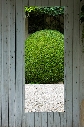 LE_CLOS_PASCAL__MENERBES__FRANCE__VIEW_THROUGH_THE_GARDEN_GATE_TO_CLIPPED_TOPIARY_BALL_IN_COURTYARD